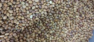 kacang tunggak 250gr (gratis royco sacet 1pc)