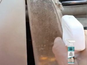 Rayhong สารกำจัดเชื้อราในรถยนต์เบาะหนังผ้าหลังคาภายในสารทำความสะอาดและบำรุงรักษาโรคราน้ำค้างRayhong Car Mildew Removal Agent Interior Ceiling Fabric Leather Seat Mold Removal Cleaning and Maintenance Agent