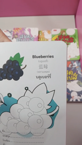 (ยกโหล) Mornington สมุดภาพระบายสี 8 หมวด พร้อมคำศัพท์ 3 ภาษา ขนาดA5 เสริมพัฒนาการ เนื้อในพิมพ์ 4 สี / โหล