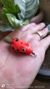 Lure soft frog ukuran 3 cm berat 5 gram paling tokcer dari bahan karet premium yang berkualitas lentur tidak mudah berkarat awet tahan lama