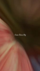 Đèn Hoa Sen Pha Lê Cao Cấp CHÂN THIỆN MỸ Đồ Phong Thủy Thờ Cúng Bàn Thờ Phật Gia Tiên HSPL-08
