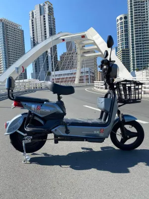Electric bikes E Bike 2 Wheels Electric Bikes Electronic Bike For Adult Ebike