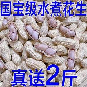 Đậu Phộng Luộc Phơi Nắng Gia Vị Ngũ Vị Có Vỏ Mặn
