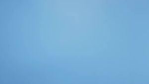 Original L08 Gimbal Stabilizer Handheld Mobile Phone-Stabilizer Anti Shake Selfie Stick Video Shooting Vlog Selfie Tripod For Phones Zweicx