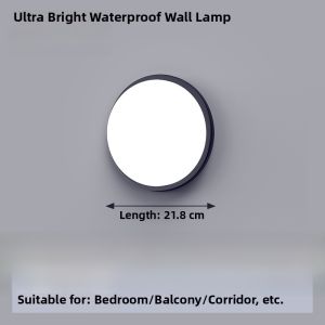 Outdoor Wall Lamp Waterproof Indoor Doorplate Corridor Villa Courtyard Light High Brightness Lighting round Absorption Ceiling Light