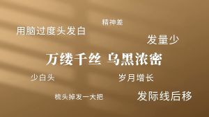 【🇸🇬 SG Seller】250g/50Packs Five Black Tea 五黑茶 Black Rice Black Bean Mulberry Black Wolfberry Black Sesame Combination Teabag