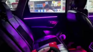 4D Rotating Tweeter Ambient Light HiFi Speaker For Tesla Model 3 Model Y RGB LED Dynamic Atmosphere Light Car Interior