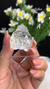 清透高品白水晶🔮雕刻“龙龟”🐉🐢 Premium Clear Quartz Carving “Dragon Turtle