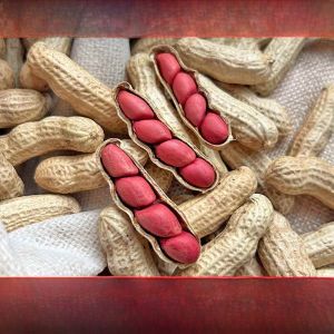 Red Skin Peanuts 5lbs Bag New Stock Farm  Original Flavor Unshelled Peanuts Snacks/Nuts/House Specialties/Water Chestnuts