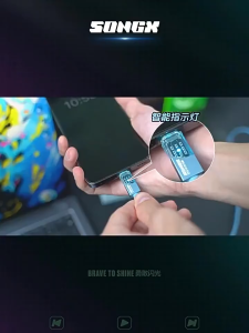 Genuine Luotianyi Limited Custom Co-branded Fast Charger Set With Premium Gift Box 30W/70W Charging Head 100W Cable Multi Port Universal Fast Charger For All Smartphone Malaysia Local Use