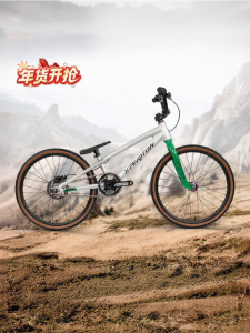 RoyalBaby | Professional Youth Racing BMX Bicycle