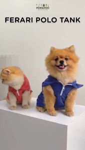 Ferari Polo Tank - Polo Kucing dan Polo Anjing POMAPOO Premium Berkualitas