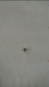 Stainless 10mm x 55mm