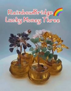 MONEY TREE (New-Small) #SIZE: 10cm