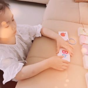 SK-M308 Flash Card Bahasa Inggris Mainan Edukasi Anak / Kartu Pintar Balita Belajar Abjad Buah Transportasi / English Early Education Card Kids Import