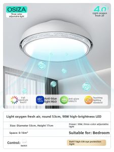 OSIZA | Negative Ions Leafless Ceiling Fan Light Bedroom