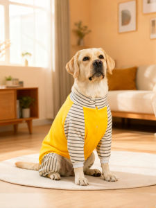 VOA | Warm and Comfortable Dog and Cat Clothing