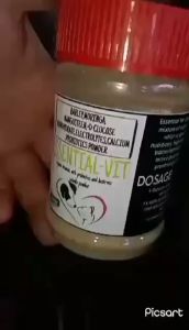 organic essential vet complete vitamins for dogs and cats
