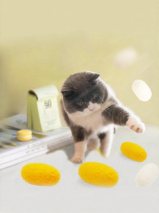 MAOGUANJIA | Interactive Entertaining Pet Toy For Kittens