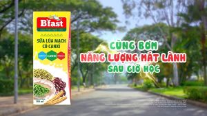 Sữa ngũ cốc lúa mạch BFAST canxi hương vị cacao hộp 180ml