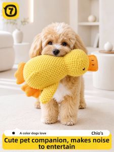 7o | Squeaking Teething Durable Dog Toy