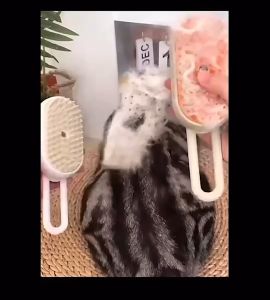 แปรงหวีขนสัตว์เลี้ยงไอน้ำ แปรงหวีขนอบไอน้ำ ทำความสะอาดขน นวดผ่อนคลายสัตว์เลี้ยง