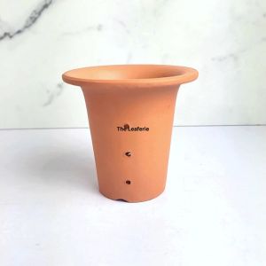 The Leaferie Luiz Hollow Terracotta orchid plant pots flowerpot flower pot planter planters
