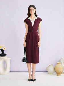 Elegant Two-tone Padded Collar Cinched Waist Dress