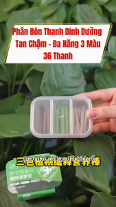 Thanh Tan Chậm Đa Năng 3 Màu - Phân Bón Kích Rễ Kích Nụ Bật Chồi Cải Tạo Đất Chậu Cho Cây Cảnh Bonsai Sen Đá 30 Thanh