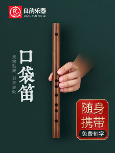 Thân Thiện Với Người Mới Bắt Đầu Di Động F调 Sáo Tre Phong Cách Cổ Xưa Nhạc Cụ Dành Cho Trẻ Em Và Người Lớn Dễ Dàng Học Kích Thước Nhỏ