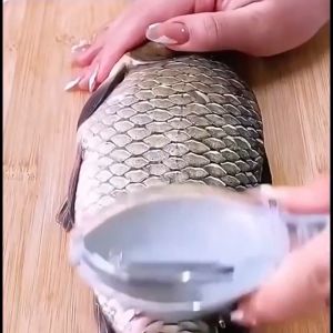 SG  Fish Scales Remover With Cover Manual scale scraper Scrape Fish Scale Scraping Kitchen Tool