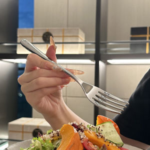 Heavy Duty Steakhouse Style Western Dining Forks Fruit Forks Pasta Salad Forks for Home Use Recommended by Boss