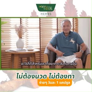 Happy Trends Herbs แฮปปี้เทรนด์ เฮิร์บ ผลิตภัณฑ์เสริมอาหารบำรุงกระดูก 30 ชั่วโมง กระปุก 1 กระปุก