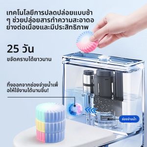 GRAREY | Deodorizing and Stain Removing Toilet Cleaner
