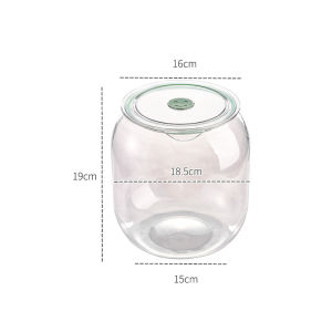 Transparent Airtight Dust-Proof Large Capacity Tea Canister