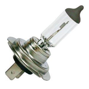 Hella | Automotive Halogen Yellow Bulb 12V
