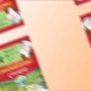 Oxbow Essential Adult Guinea Pig 2.25kg