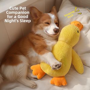 Hadassah | Durable Chewing Sound Making Dog Toy