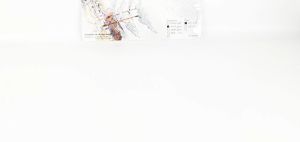 Tracing Paper (Schoellershammer) 70/75 GSM 8.5 x 11 10 Sheets tracing paper sheets