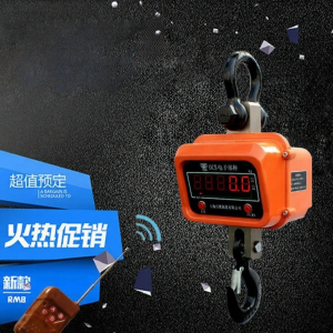 DANBIYIN | Direct Read Electronic Hook Scale 1-15t