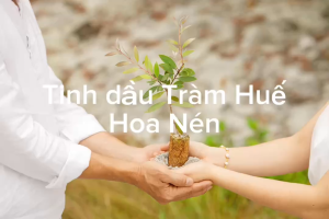 Tinh dầu Tràm Hương Ngự 10ml - Hoa Nén - Chuẩn VIETGAP - Giúp giữ ấm cho bé yêu.