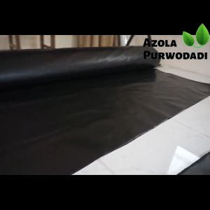 Plastik HDPE Geomembran 200 Micron 4 x 8 meter untuk kolam / tambak