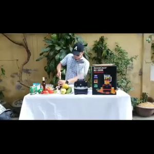 Máy Xay Sinh Tố Công Nghiệp SILVER CREST 3800W SC-3899 Xay đá rau má thịt cá đồ - LULINSO