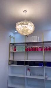 Nordic Style Led Chandeliers 3 Colors For Ceiling Decoration Pendant Light