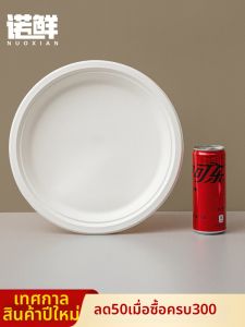 NUOXIAN | Disposable Paper Plates for Craft DIY Painting Cake BBQ Dishes