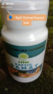 Gamat - HNI HPAI - Membantu Meredakan Nyeri Sendi - Original