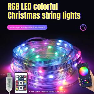 USB Curtain String Lights APP Remote LED Fairy Garland Lamp Dimmable Bedroom Wall Decor for Wedding Birthday Xmas Party