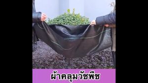 ผ้าคลุมดิน(เกรด A) คลุมดิน พลาสติกคลุมวัชพืช ผ้าคลุมหญ้า พราสติกคลุมดิน ผ้าคลุมวัชพืช น้ำซึมผ่านได้ คลุมวัชพืช 50/100m 100 กรัม