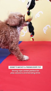 Bark & Spark Official Disney Rope Dog Toy – Plush Tug Toy | Mickey Pooh Alien & Slinky Designs