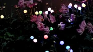 mitch Solar Firework Firefly Waterproof Light Solar Swaying LED Outdoor Garden Lawn Decor Landscape